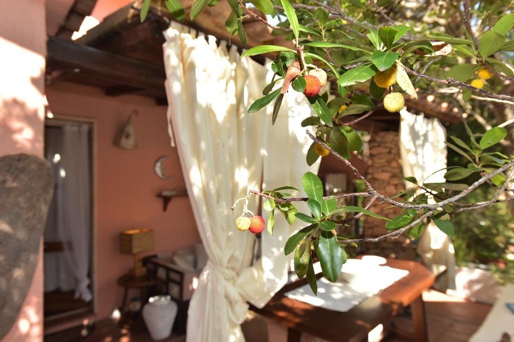 Bed & Breakfast Yin & Yang San Pantaleo Dış mekan fotoğraf